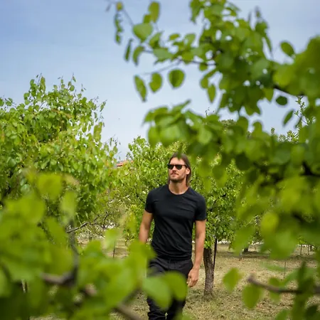 Traditional Luxury Armonia