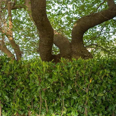 Traditional Luxury Armonia Villa