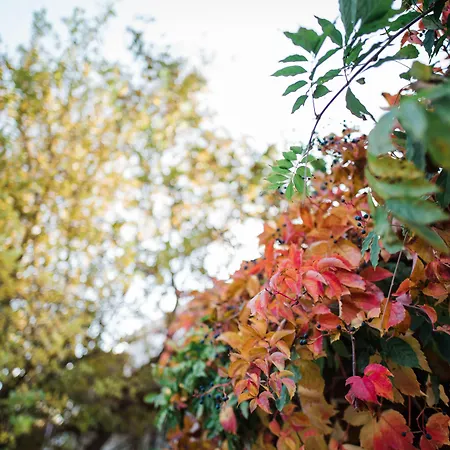 Traditional Luxury Armonia Villa Aigio