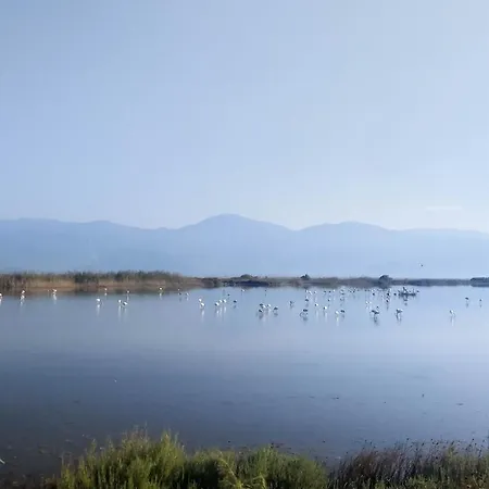 Traditional Luxury Armonia * Aigio