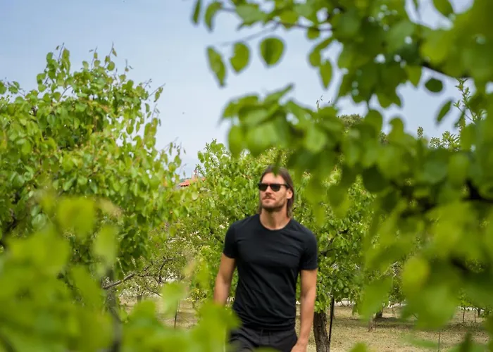 Traditional Luxury Armonia