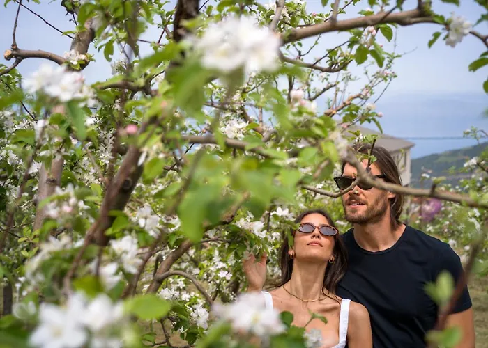 Traditional Luxury Armonia Villa *