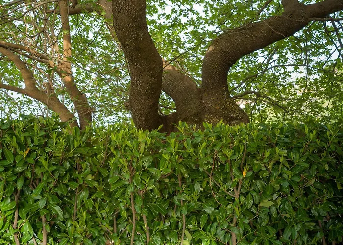 Traditional Luxury Armonia ヴィラ