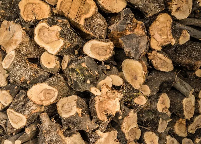 Traditional Luxury Armonia ヴィラ エギオ