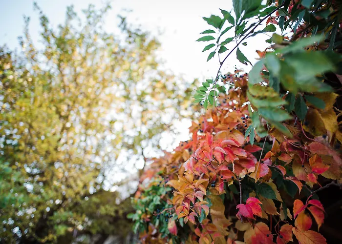 Traditional Luxury Armonia Villa Égio
