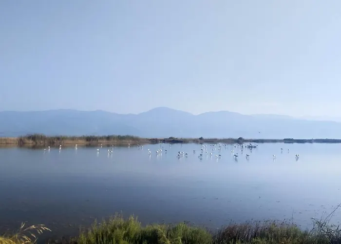 Traditional Luxury Armonia * Égio